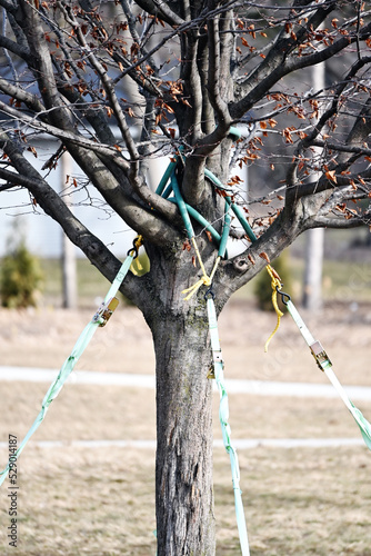 Hose Bracing Tree