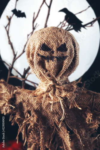 Scarecrow, dead wood, graves, Jack-o-lantern and bones.