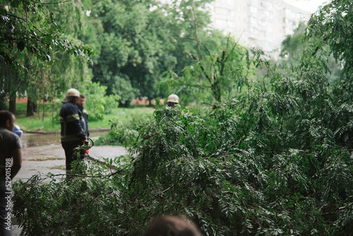 firefighters help clean up fallen tree on cars after the storm in a rainy day