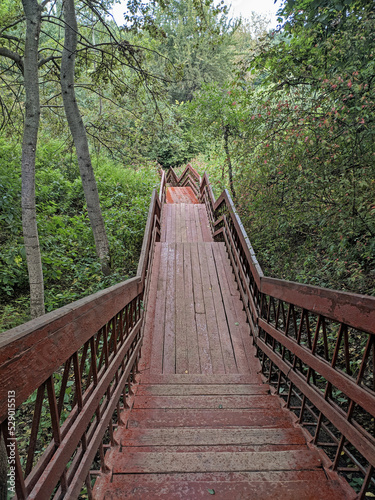 Old wooden stairway in forest, nature trail in reserve. Brown stairs among plants. Cloudy summer day. High quality photo