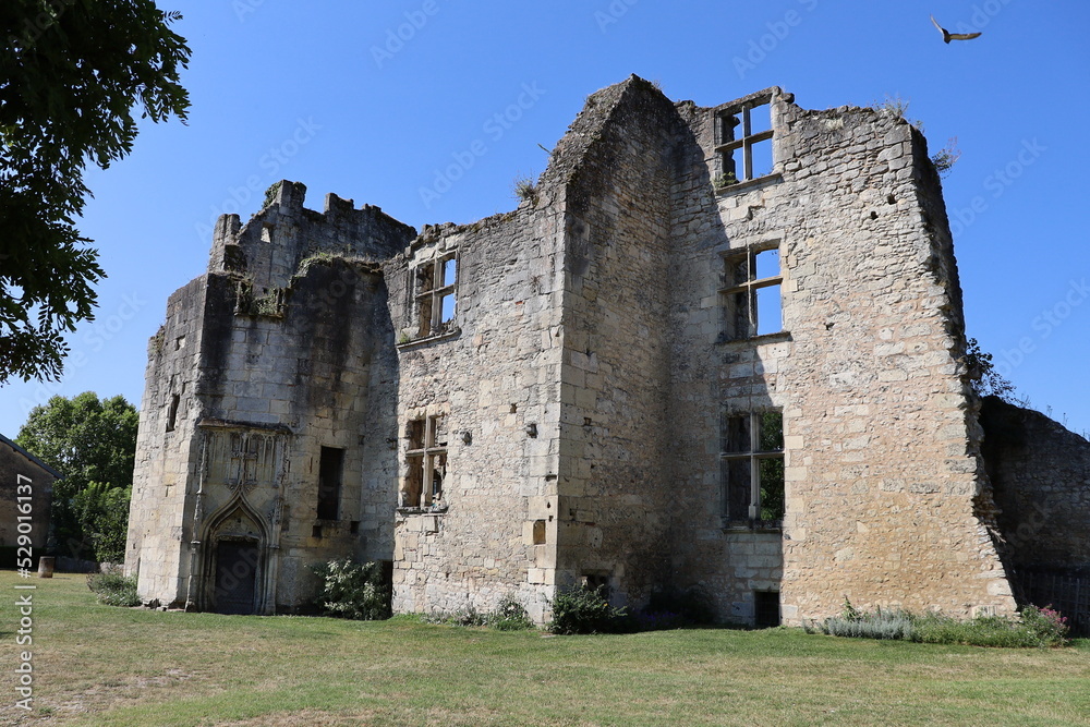 Les vestiges du chateau Barriere, ville de Périgueux, département de la Dordogne, France