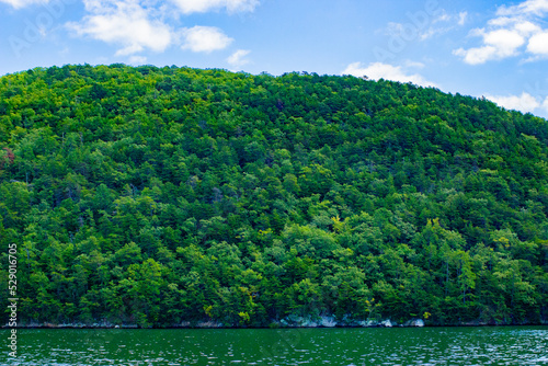 landscape with lake