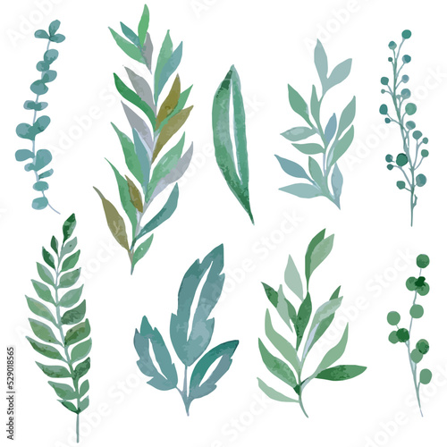 Watercolor hand drawn vector green twigs leaves