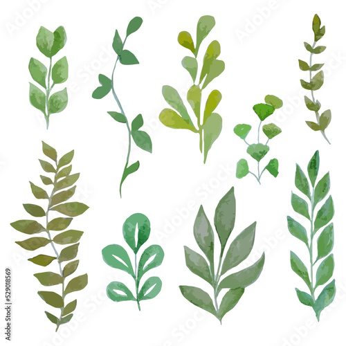 Watercolor hand drawn vector green twigs leaves