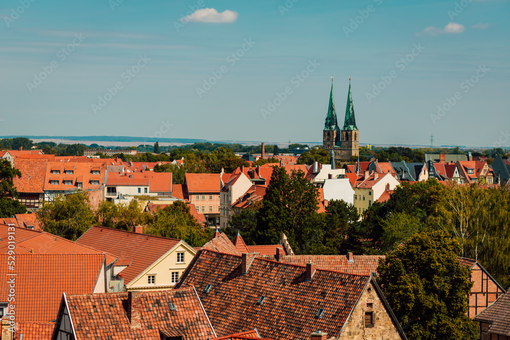 Fototapeta premium Red roofs of beautiful houses. Top view
