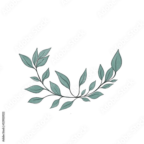 Hand drawn floral frames with flowers, branch and leaves. Elegant logo templa...