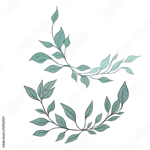 Hand drawn floral frames with flowers, branch and leaves. Elegant logo templa...