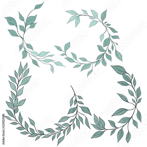 Hand drawn floral frames with flowers, branch and leaves. Elegant logo templa...
