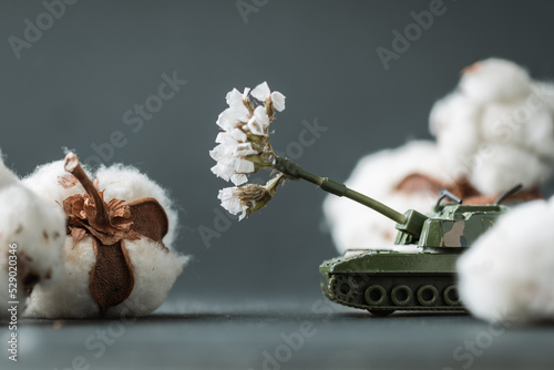 Model toy of battle tank firing cotton flowers from the barrel. Trendy Ukrainian banter about russian propaganda. Peace and no war concept. Macro shot. Bavovna is cotton in Ukrainian. Support Ukraine. photo