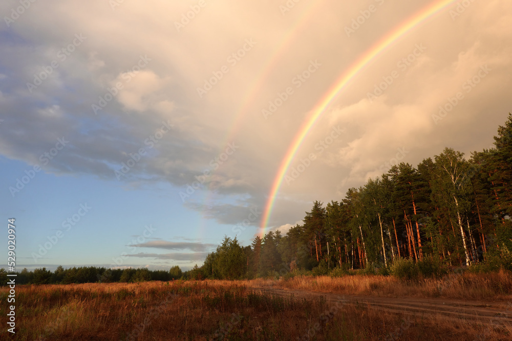 Rural landscape with double rainbow and beautiful sky colors after rain at the edge of the pine forest in early autumn day