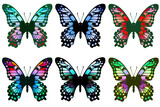 青や緑ベースのカラフルな6羽の蝶
