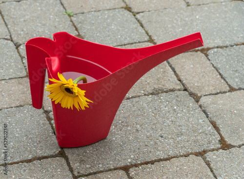 Red watering can and yellow flower