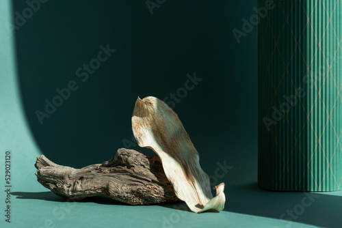 Podium natural wood material on a natural dry autumn leaf in the shade of a green background. Beauty cosmetic wooden display. Layout for exhibitions  products  cosmetics  health.