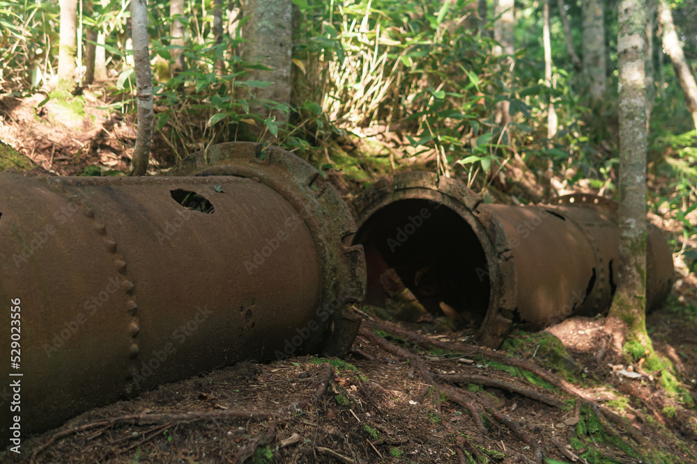 remains of rusty industrial equipment among the forest remains of rusty industrial equipment among the forest
