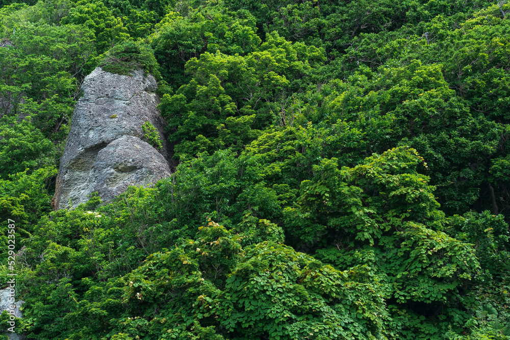 background, landscape - rocks among the mountain broad-leaved forest background, landscape - rocks among the mountain broad-leaved forest