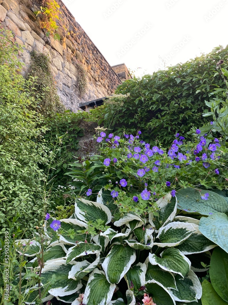 Fototapeta premium Waves crashing