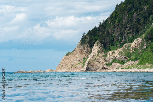coastal seascape, beautiful lava rocks on the wooded coast of Kunashir island near Cape Stolbchaty