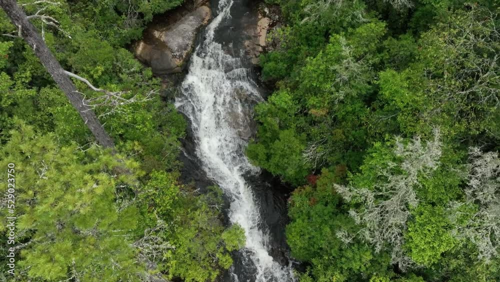 Whitewater Rapids in a Forest Whitewater Rapids in a Forest