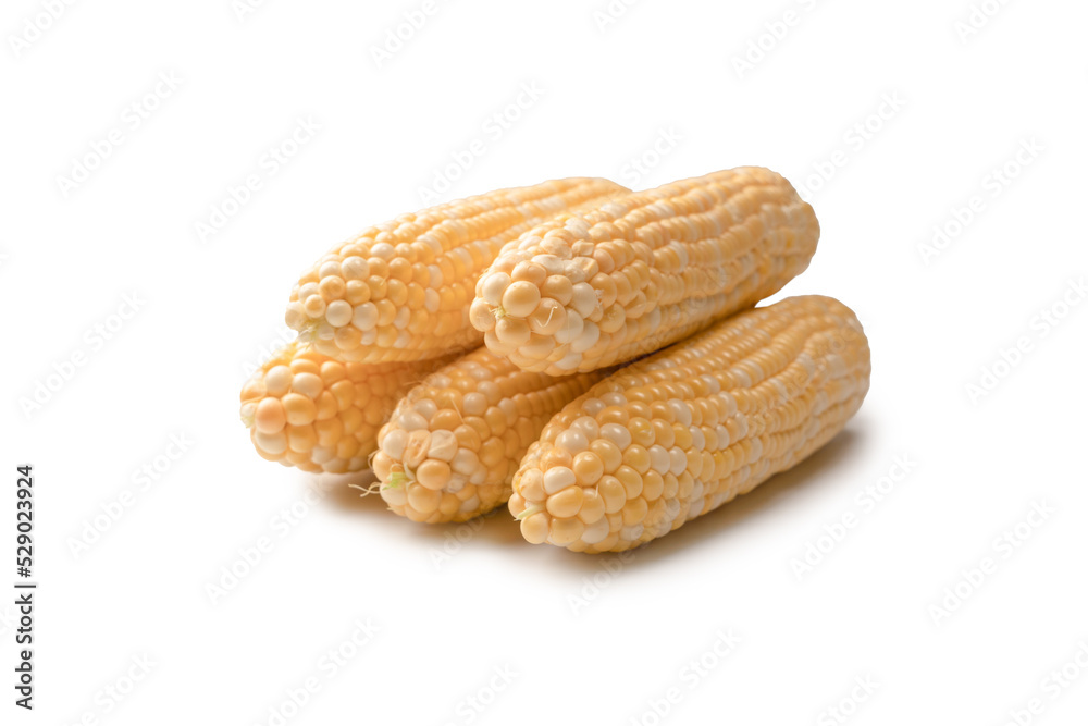 Yellow corn isolated on white background. Copyspace. Yellow corn isolated on white background. Copyspace.
