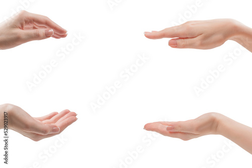 Woman hands with french manicure isolated on white bacckground.