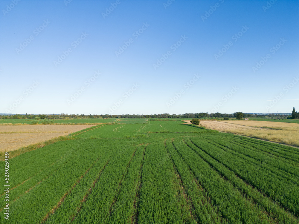 Agricultural landscape on the outskirts of the city of Zaragoza