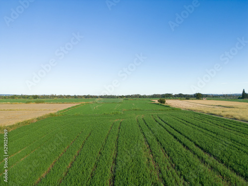 Agricultural landscape on the outskirts of the city of Zaragoza © AnaCristina