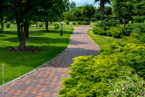 park path paved with brick stone tiles in backyard garden among plants, evergreen bushes and mulch of trees surrounded by green lawn on sunny day with lantern iron ground garden lighting, nobody.