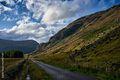 A road in Glen Doll in summer. Mountains on the right and pine forest on the left