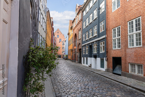 Traditional old houses on the street in Copenhagen. © Natalia