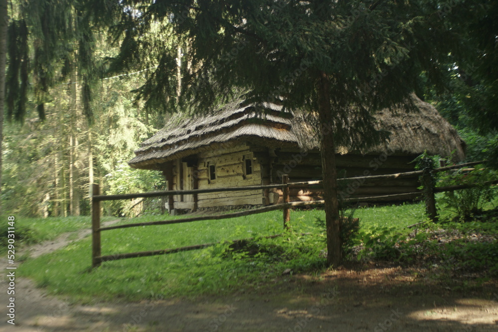 old wooden house in the forest