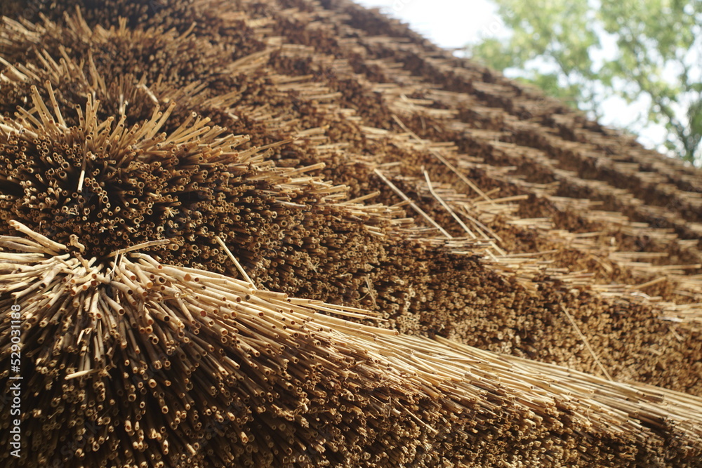 Fototapeta premium Reed Roof Of An Wooden House