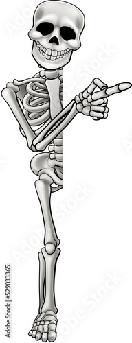 Skeleton Cartoon Character ...