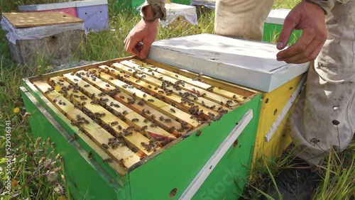 a person works in an apiary with bees extracting honey
