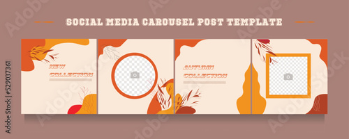 Social media carousel post template