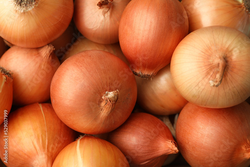 Many ripe onion bulbs as background, closeup