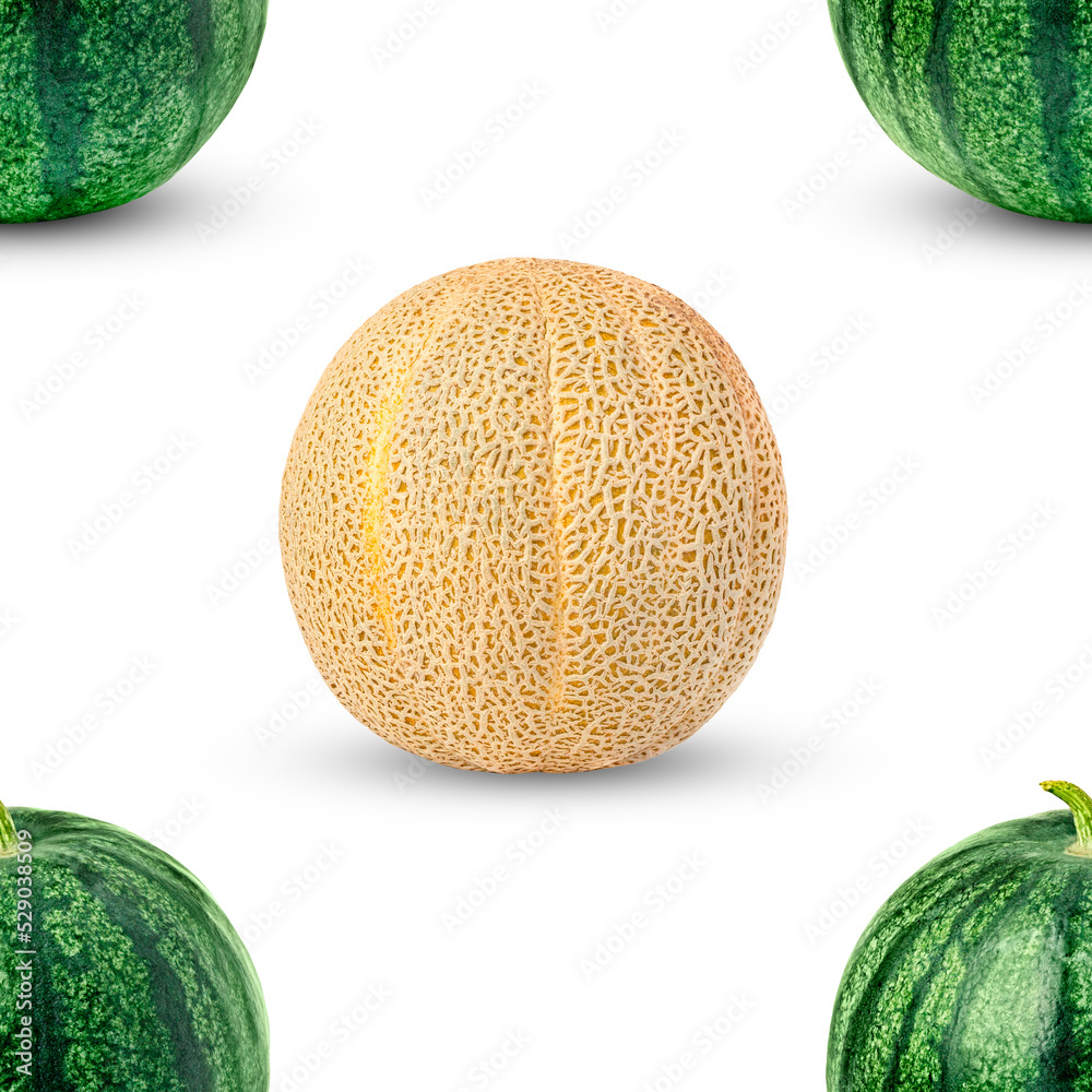 Seamless pattern with watermelon and melon on white. Seamless pattern with watermelon and melon on white.