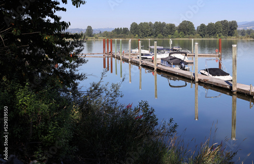 River marina in a sunny windless morning