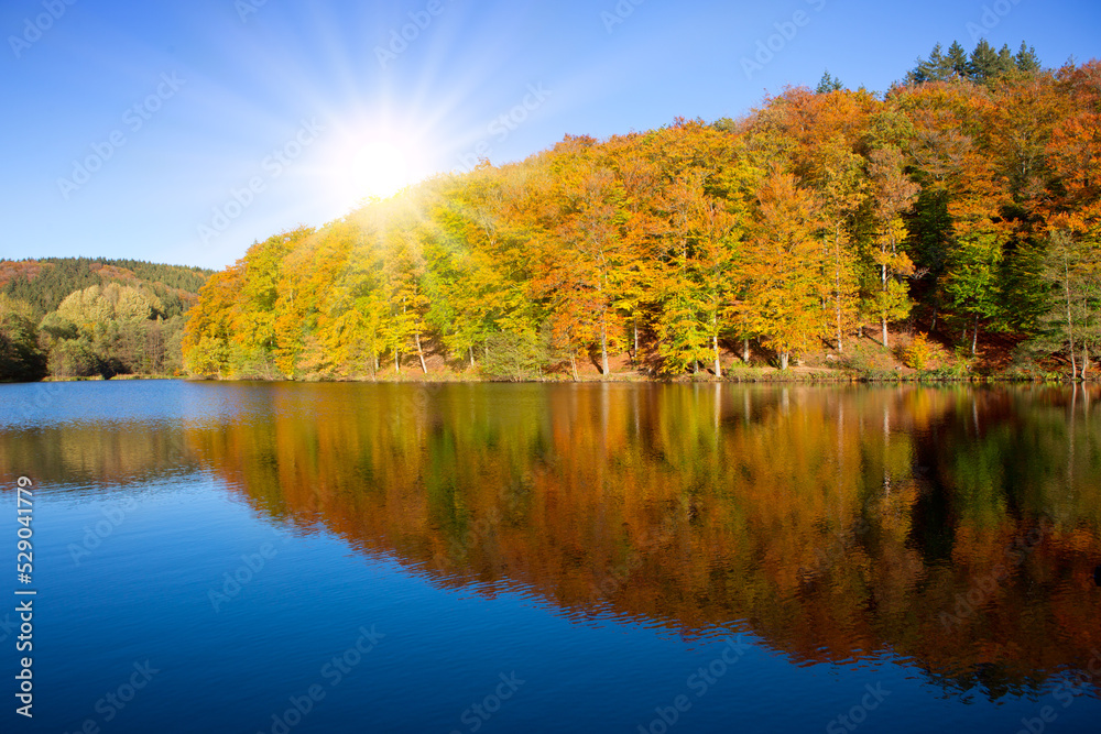 Autumn background with reflection colorful trees in the forest lake.