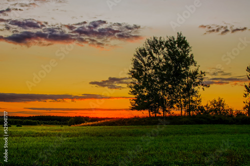 sunset, landscape with atmospheric light, colorful clouds and trees, romantic contour photo