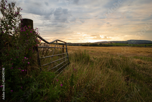 Hat Stacks in a farmers field at sunset

