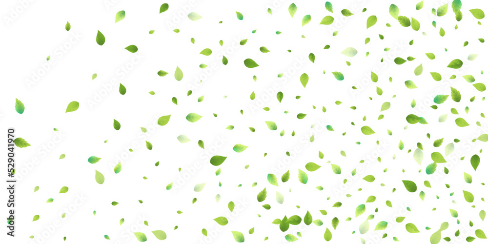 Leaves Green Falling Flying Foliage Leaf Tea Mint Leaves Green Falling Flying Foliage Leaf Tea Mint