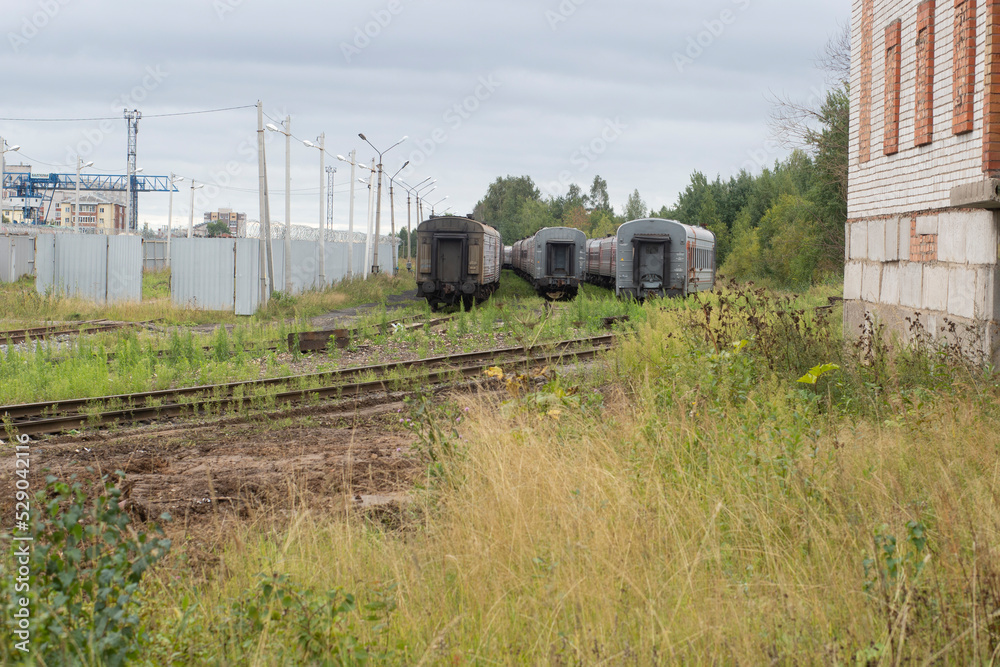 Cargo transportation by rail. Containers for the railway. Cargo transportation by rail. Containers for the railway.
