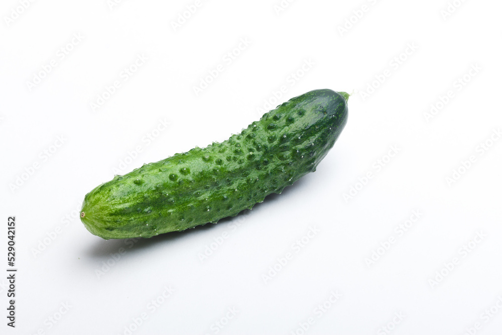 cucumber on a white background cucumber on a white background