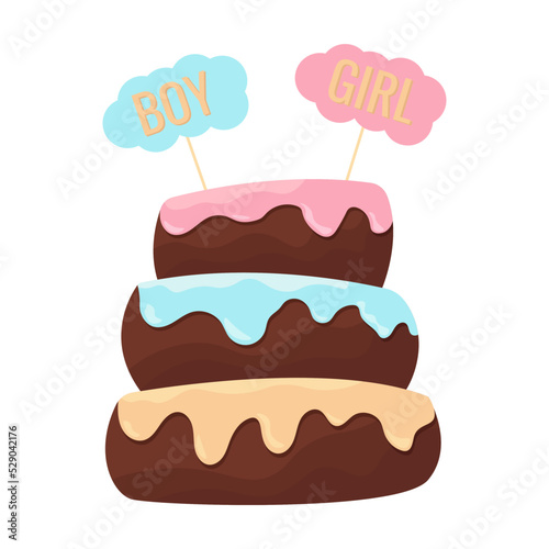 Cake for gender party  boy or girl  sweets  cake with icing
