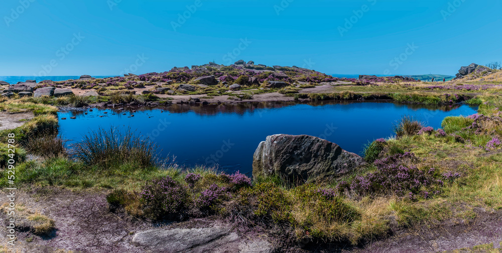 A close up view across Doxey Pool on the summit of the Roaches escarpment, Staffordshire, UK in summertime