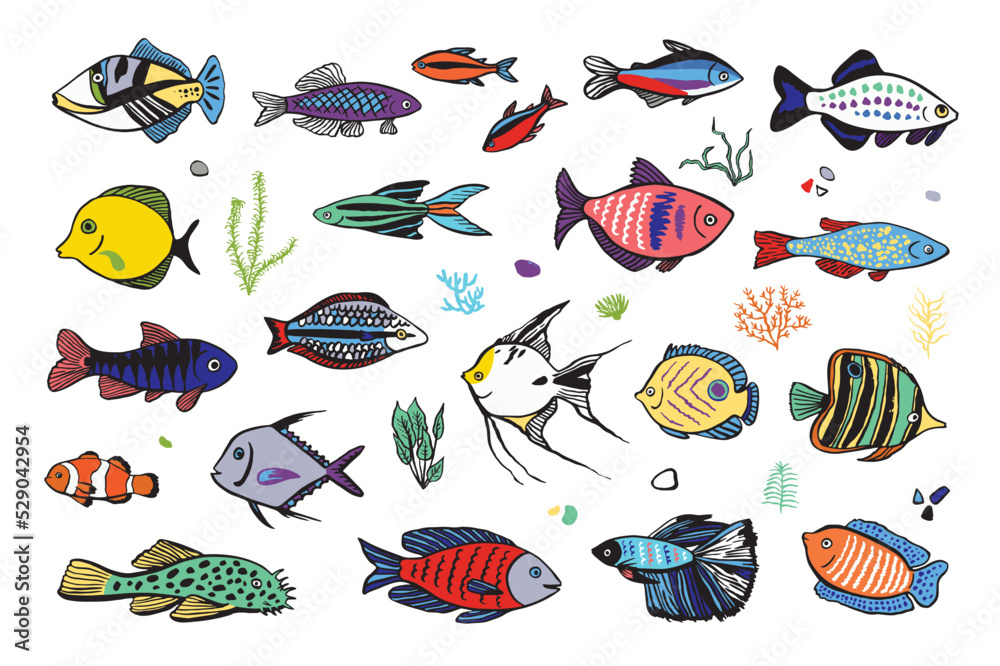 Tropical fish vector illlustartions set. Tropical fish vector illlustartions set.