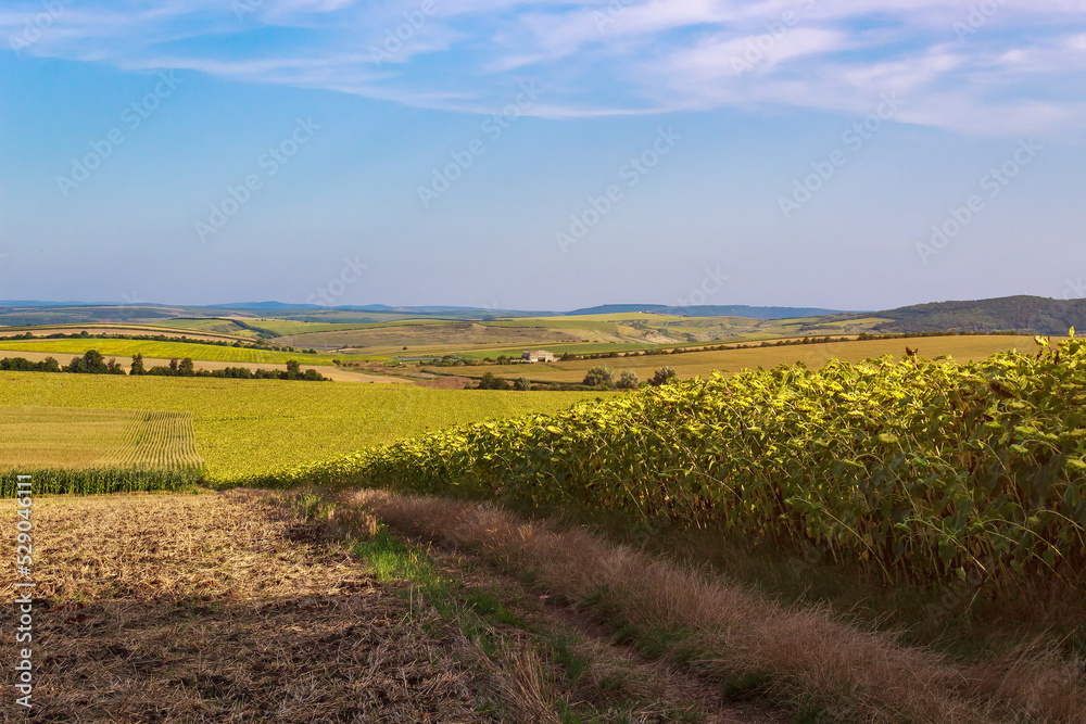 The hilly nature of Eastern Europe. Background with copy space for text, toned The hilly nature of Eastern Europe. Background with copy space for text, toned