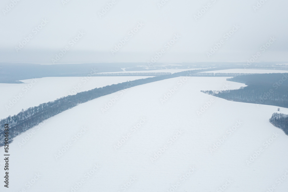View from a height of a winter landscape with a snowy field, forest and fog