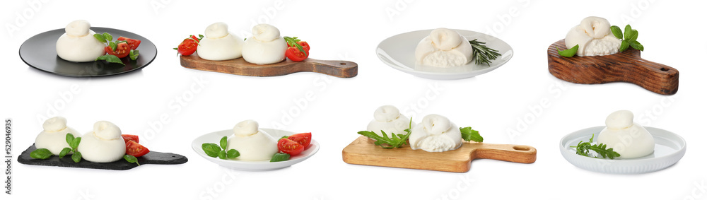 Set with fresh delicious burrata cheese on white background. Banner design Set with fresh delicious burrata cheese on white background. Banner design