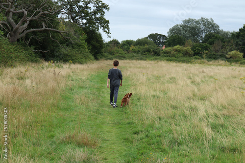 A boy walks his dog along a path in a grassy meadow